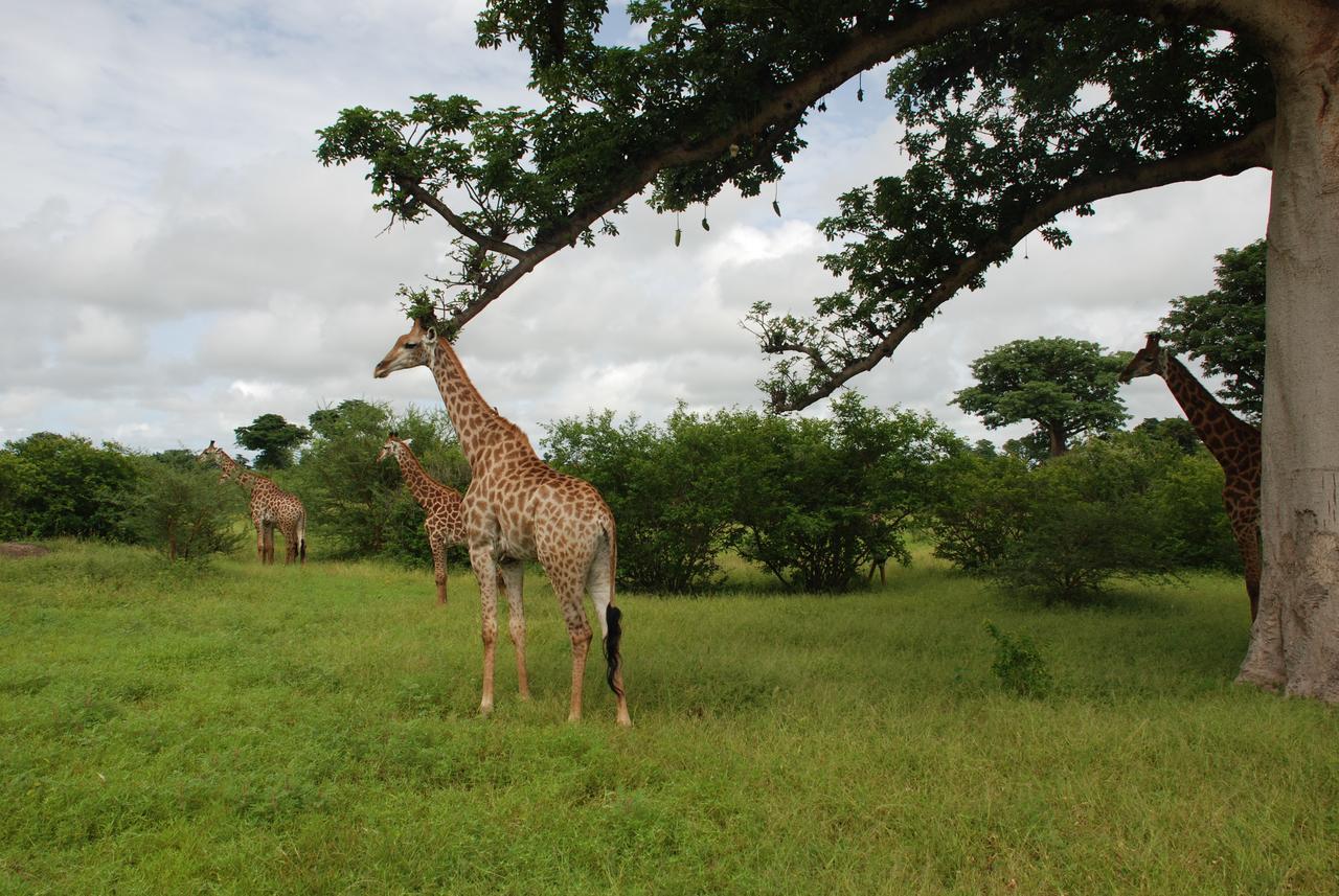 Safari Village Saly 外观 照片